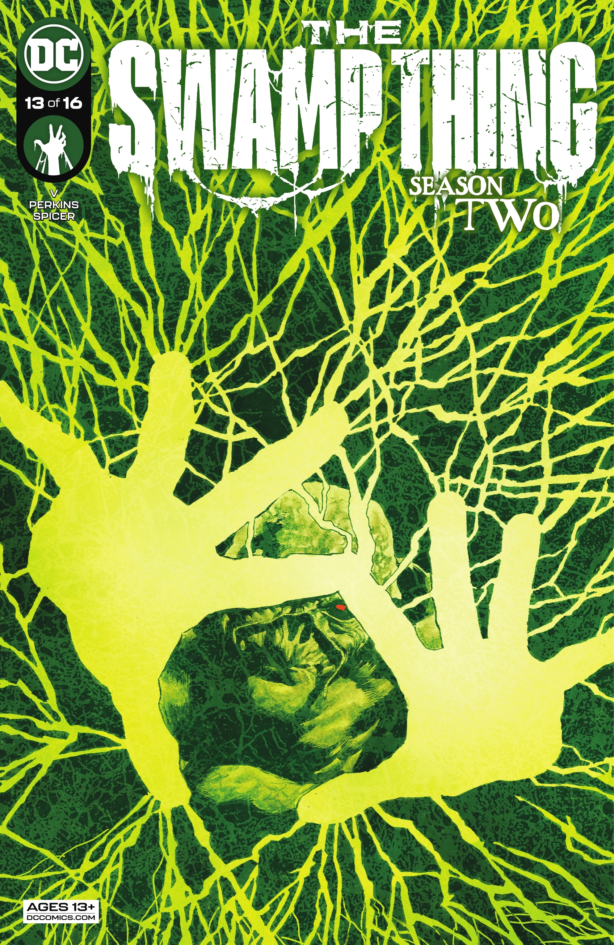 The Swamp Thing #13 (DC, 2022 — Cover A) cover